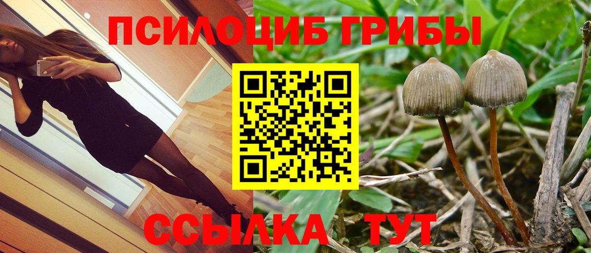 Псилоцибиновые грибы GOLDEN TEACHER  Вход с VPN  Нарьян-Мар 