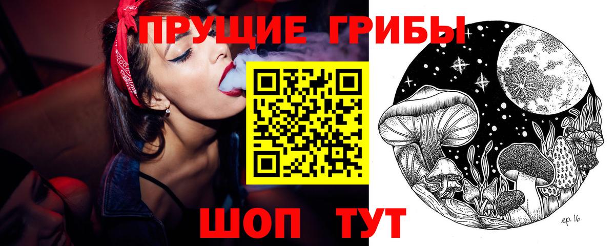 Галлюциногенные грибы прущие грибы Нарьян-Мар